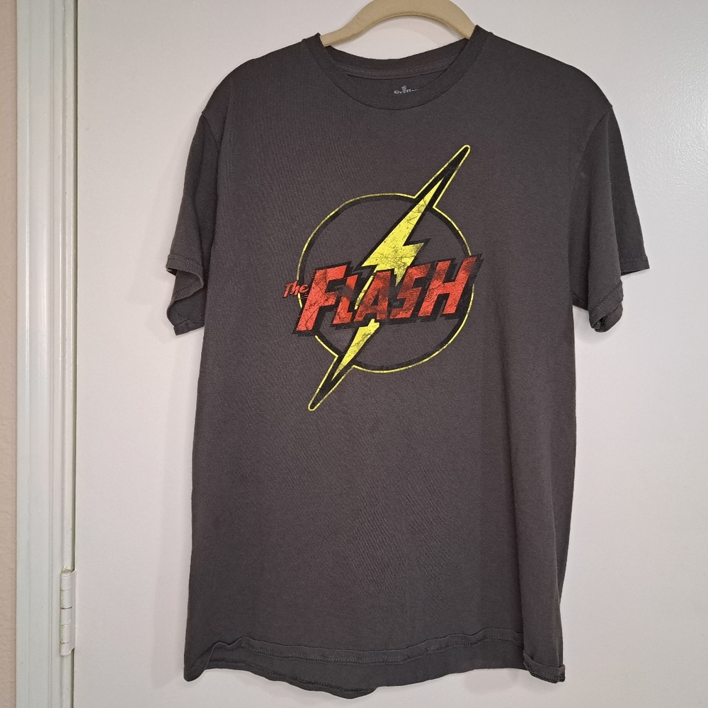The Flash Superhero Six Flags Tee (M, Gray)